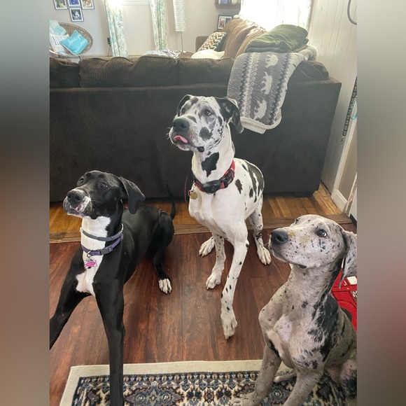 Hello! If you are here, thank you for checking out my page. I appreciate you! 🧡 - Picture 10 of 16